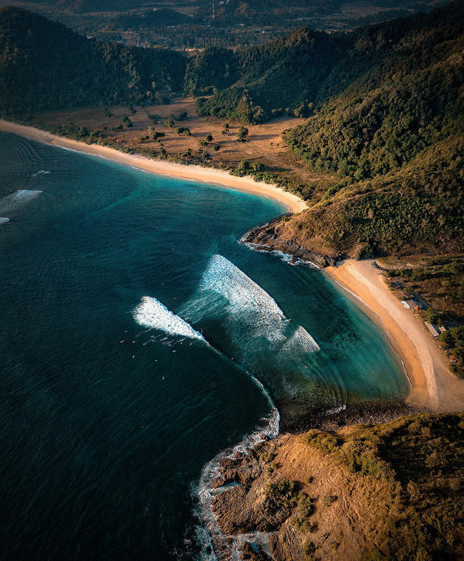 Skincare New Frontier: Marine science and botanical intelligence