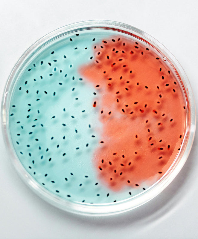 The Microbiome movement.