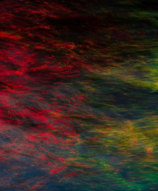 Rainbow Algae: The multi-dimensional secret to radiant and resilient skin