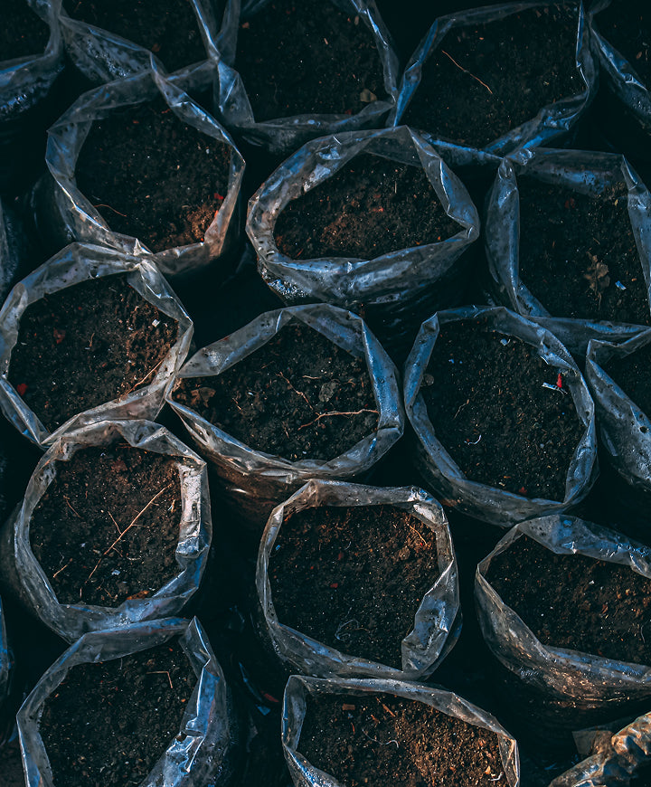 Soil-Based Actives: The unsung heroes of barrier repair